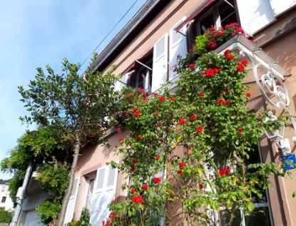 photo-maison-fleurie