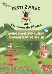 Affiche du festival Festi z'ailes 2026
